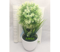 济南盆景产品库 奇石盆景的价格、图片与厂家指南