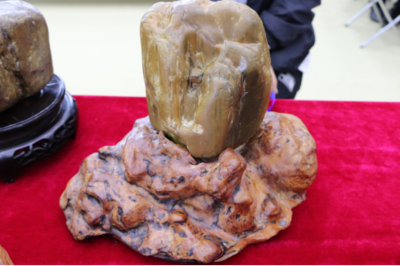 石韵煤魂，魅力海伦——首届奇石文化旅游节盛大开幕，焦炭产业与文化盛宴交相辉映