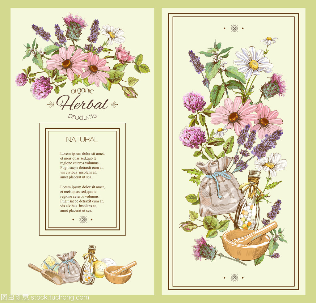 草药的老式横幅 奇石